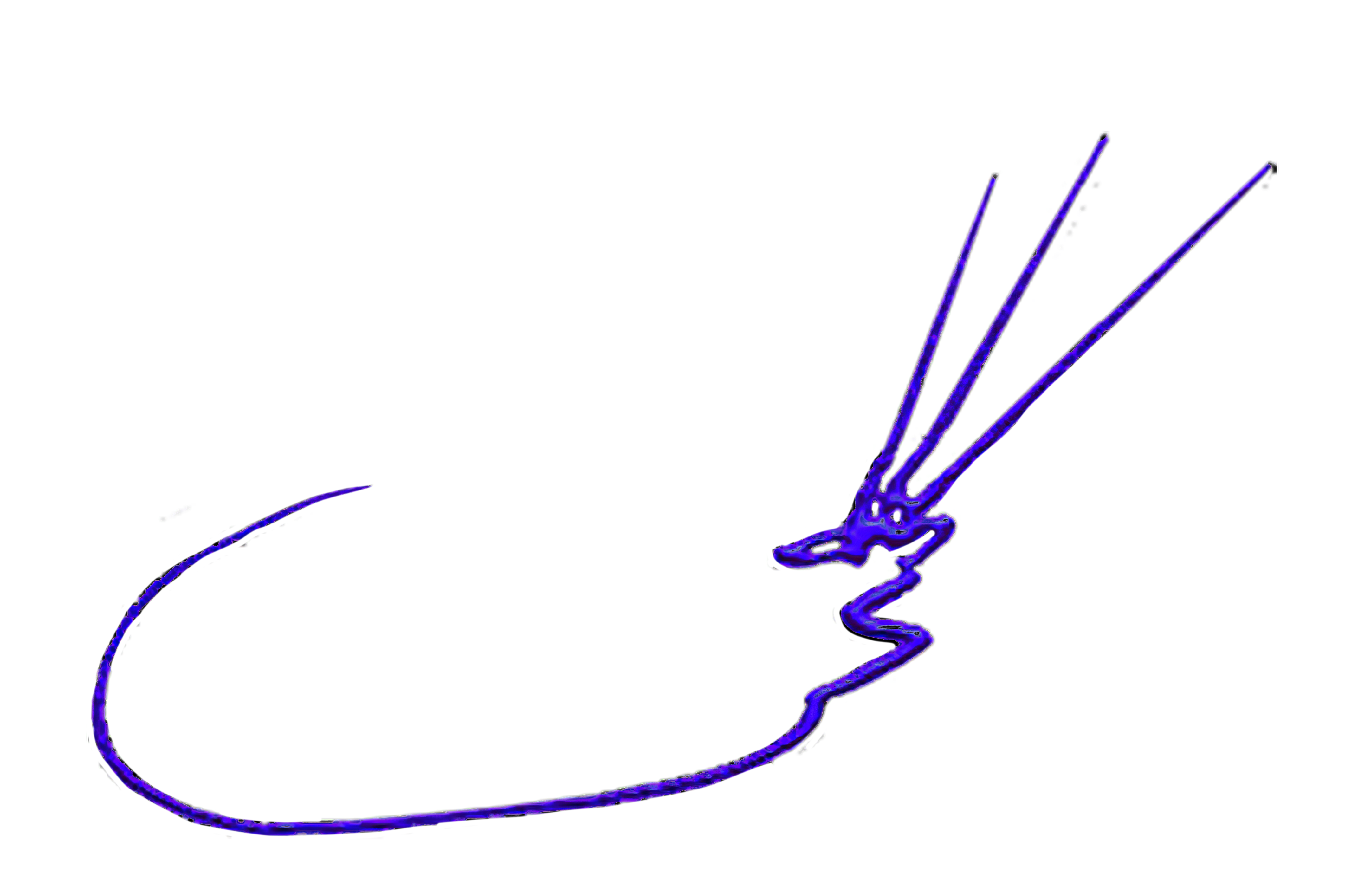 ©   DIBUJOS Y PINTURAS DE AGUSTÍN DE LA CRUZ